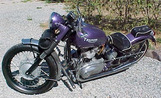 Violet Retro Bike
